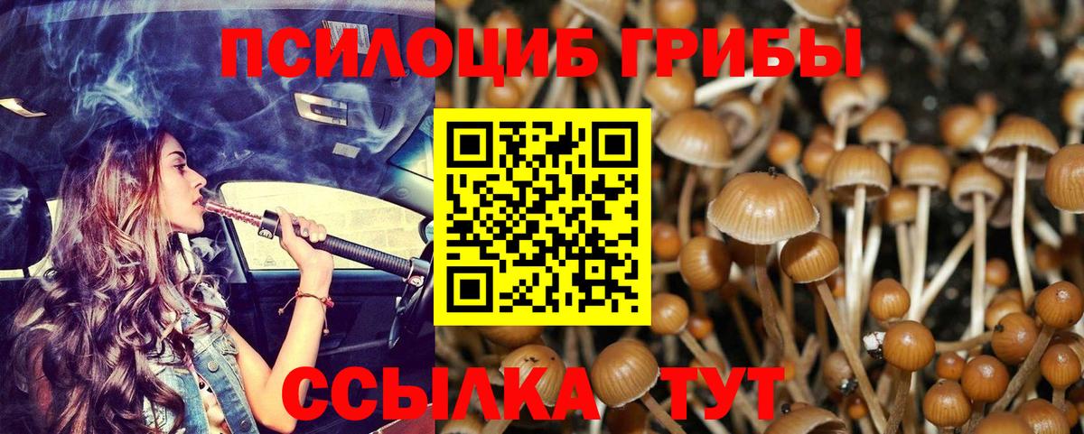 Канск  Псилоцибиновые грибы Psilocybine cubensis  Псилоцибиновые грибы ЛСД  Вход с VPN 
